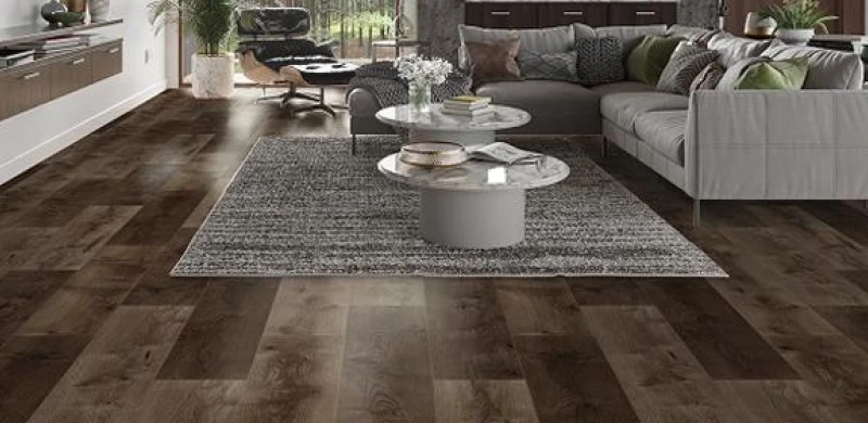 gallery 2